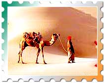 Pushkar Camel Fair, Udaipur Rajasthan Festival Tours