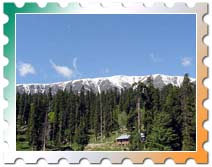 Kashmir Leisure Tours, Kashmir Vacations