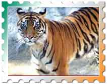 Kaziranga National Park, Kalimpong Naitonal Park