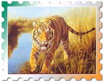 Sunderbans National Park Kolkata