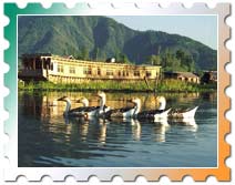 Short Tour kashmir, Short and Sweet Tour Srinagar