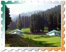 Kashmir Houseboat Pleasure, Houseboat Honeymoon Kashmir, Kashmir Tour Packages