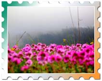 Katra Tourist Destinations katra tourist places, tourist places katra, katra places of interest